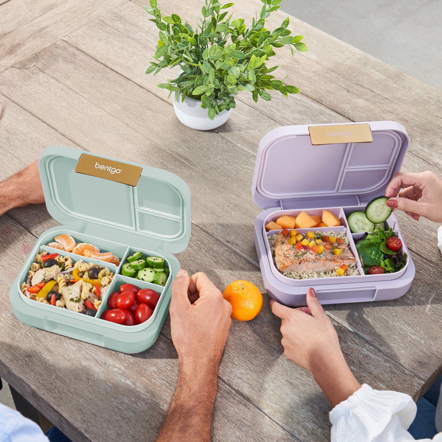 bentgo-modern-lunch-box-2-pack-o0 COSTCOBMCPRODUCTIMAGE_2.jpg